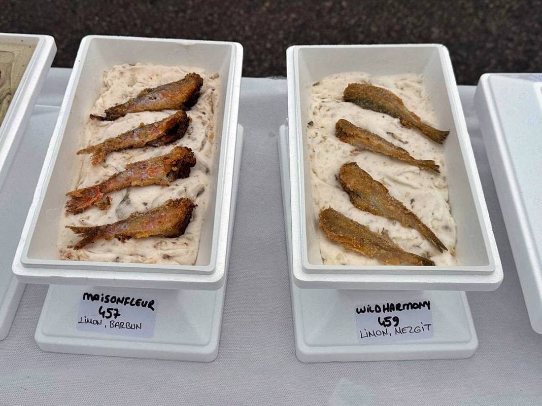 Dünyanın en fazla çeşidi olan dondurması hayrete düşürdü! Guinness Rekorlar Kitabı'na adını yazdırdı 9